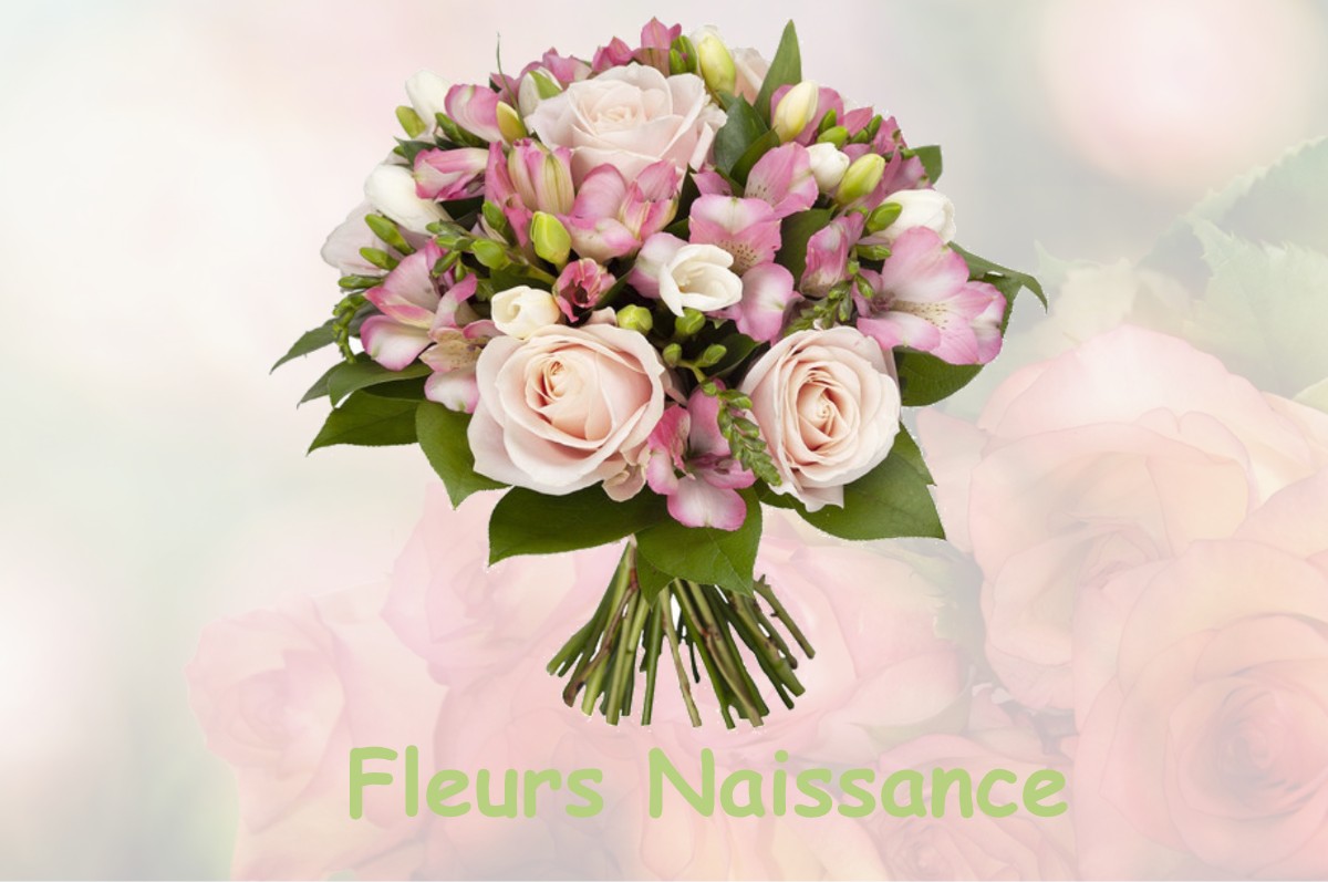 fleurs naissance SAINT-DENIS-SUR-LOIRE